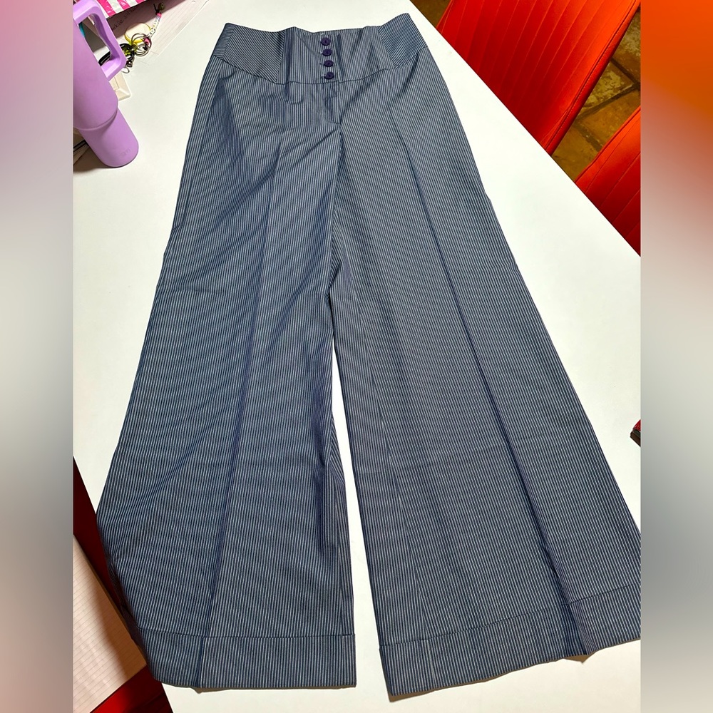 Fun Whimsical Dressy Trousers Lg Pinstripe